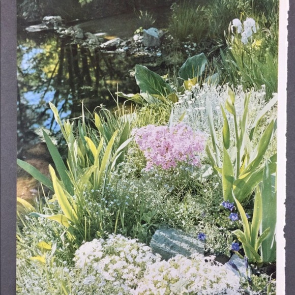 ! 1 Page/2 Sides frm VTG 1951 Photography Book, Model in Blue, Landscaping Scene - Picture 2 of 5